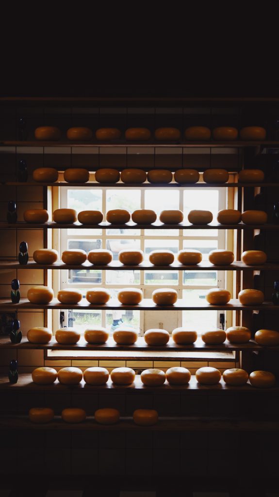 What Are The Best Wisconsin Day Trips For Cheese Lovers?